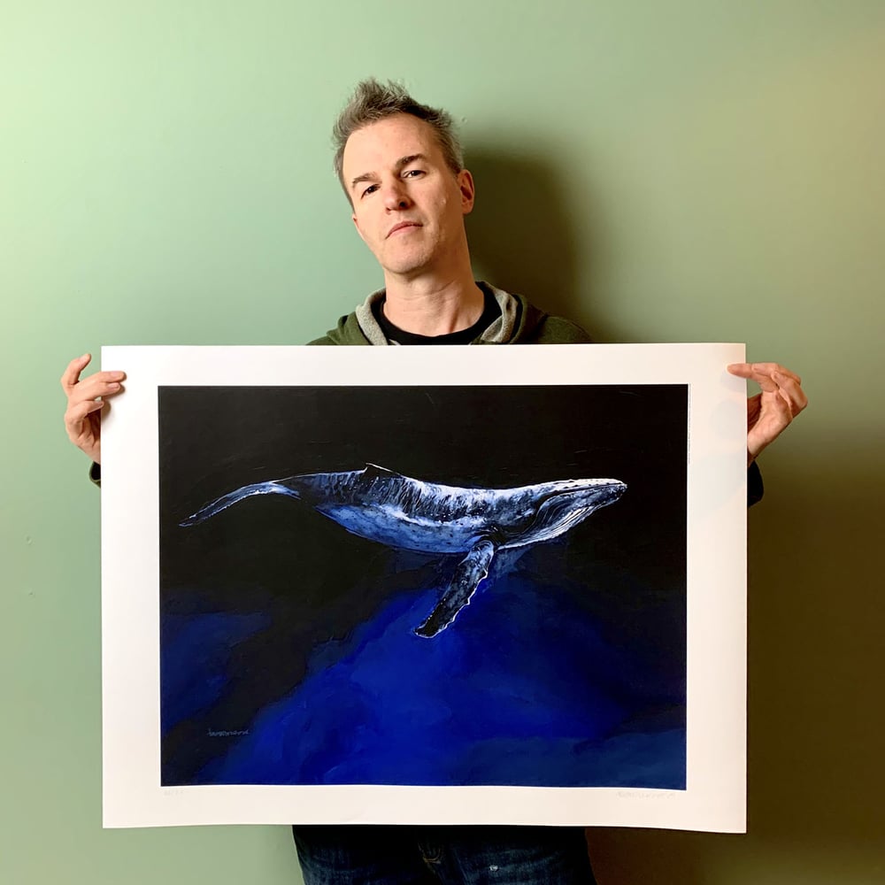 Image of Timo Wuerz - Salish Sea - Humpback Whale