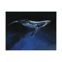 Image 2 of Timo Wuerz - Salish Sea - Humpback Whale