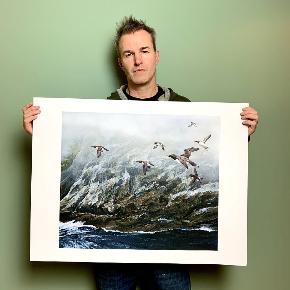 Image of ONLY 3 LEFT - Timo Wuerz - Oregon Coast - Murres