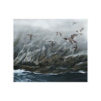 Image 2 of Timo Wuerz - Oregon Coast - Murres