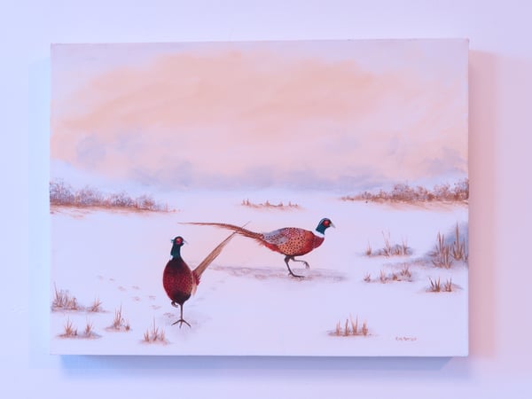 Image of Winter Pheasants