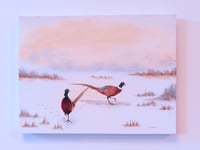Winter Pheasants