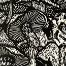 Image of A Mushroom Platter (available soon)