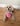 New! Concha Pet Toy