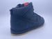 Image of NIKE SB DUNK HIGH PRO ISO