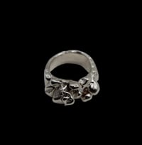 Image 1 of conjecture ring 