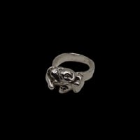 Image 1 of diurnal ring 
