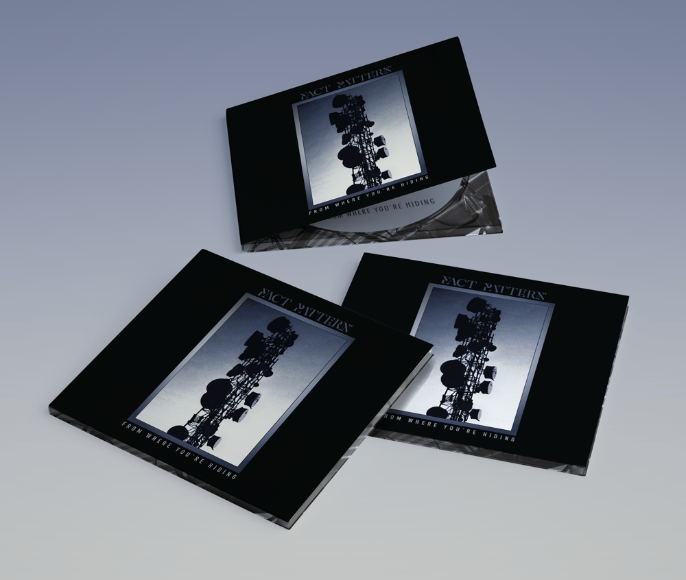 Fact Pattern 'From Where You're Hiding' Digipak