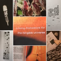 Image of A Bony Framework for the Tangible Universe - print + PDF