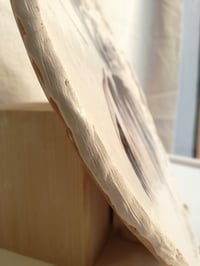 Image 3 of PALMA DISH