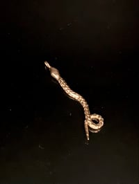 Image 4 of Serpent Charm