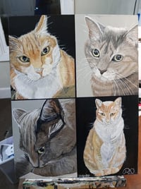 Custom paintings/pet portraits 