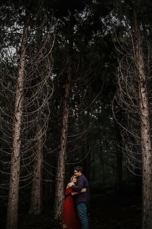 Image of Reserved for Audrey - Christmas session