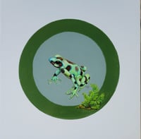 Image 1 of Green and Black Poison Dart Frog