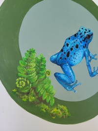 Image 2 of Blue Poison Dart Frog 
