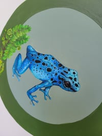 Image 3 of Blue Poison Dart Frog 