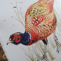 Pheasant Stone Coaster