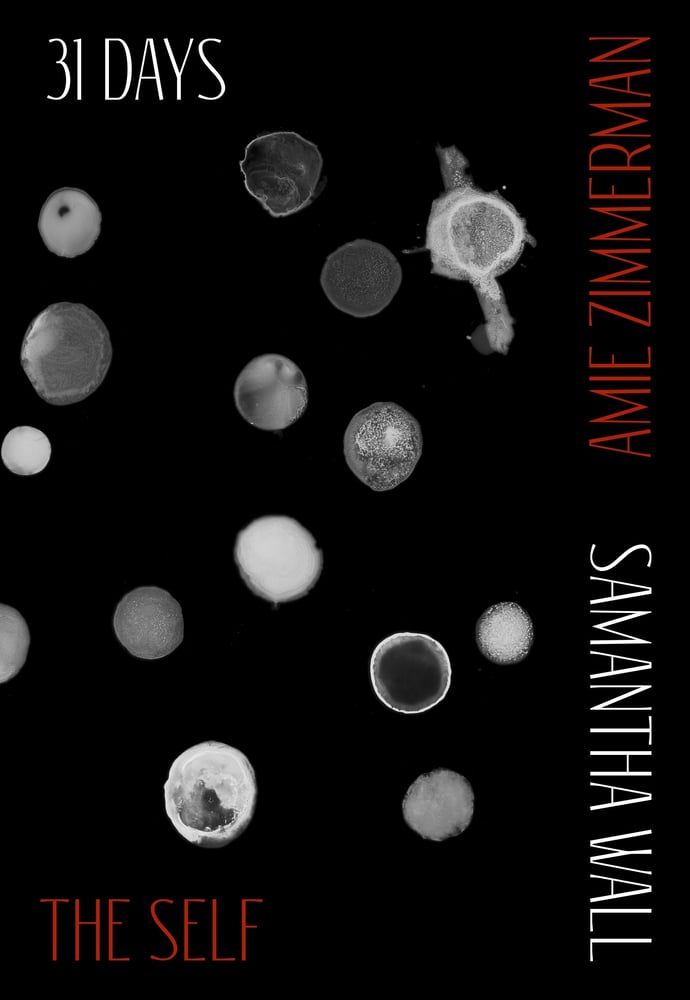Image of 31 Days / The Self by Samantha Wall / Amie Zimmerman