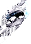 Corbeau s’abreuvant de son reflet 