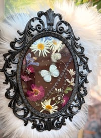 Image 6 of Cabbage White Antique Frame
