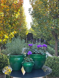 Image 2 of Emerald Green Glazed Pot 