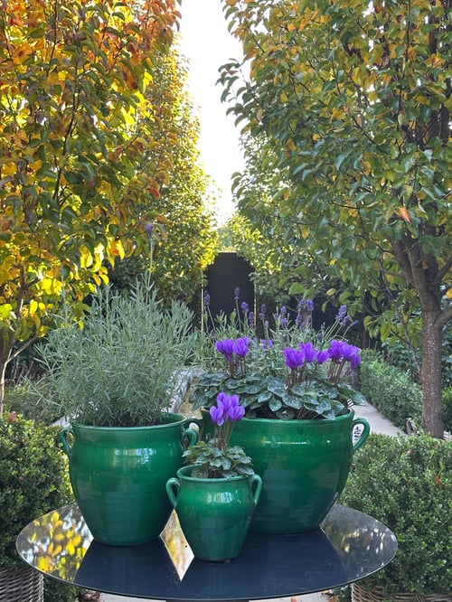 Image of Emerald Green Glazed Pot 