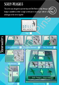 Image 3 of UK Birding Pins Club Membership