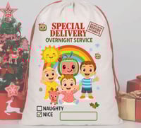 Cocomelon Santa sack -PRE ORDER