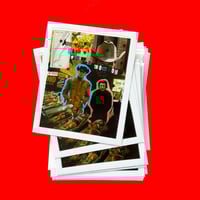 Image 2 of Midnight Cowboy 