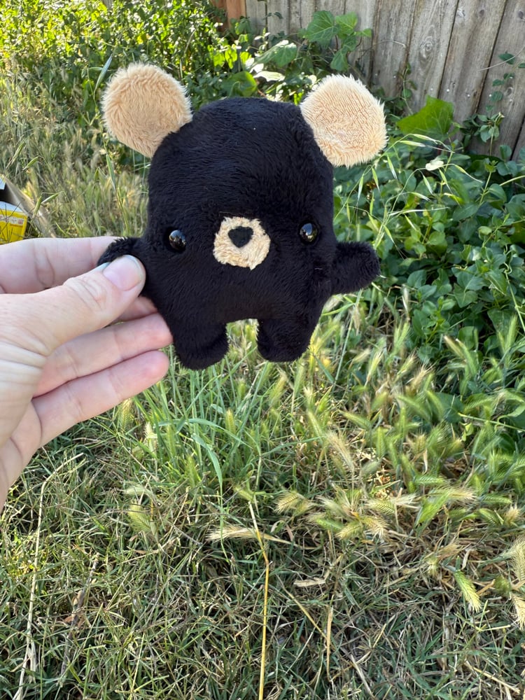 Image of beanie bear