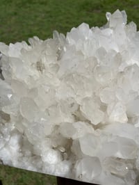 Image 4 of Quartz Points Cluster Statement Display Piece | Brazil #2911
