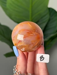 Image 3 of FLOWER AGATE SPHERES