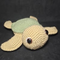 Image 1 of Medium size sea turtle 