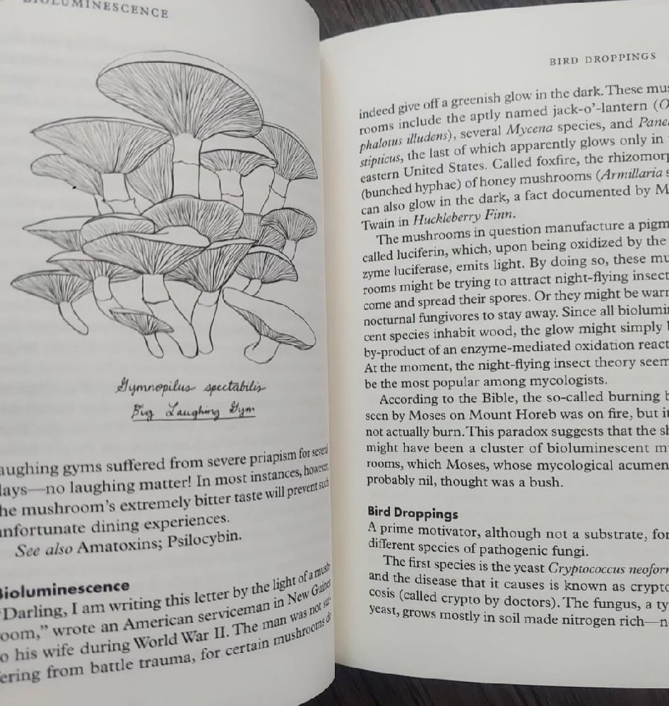 Fungipedia – A Brief Compendium of Mushroom Lore, by Lawrence Millman