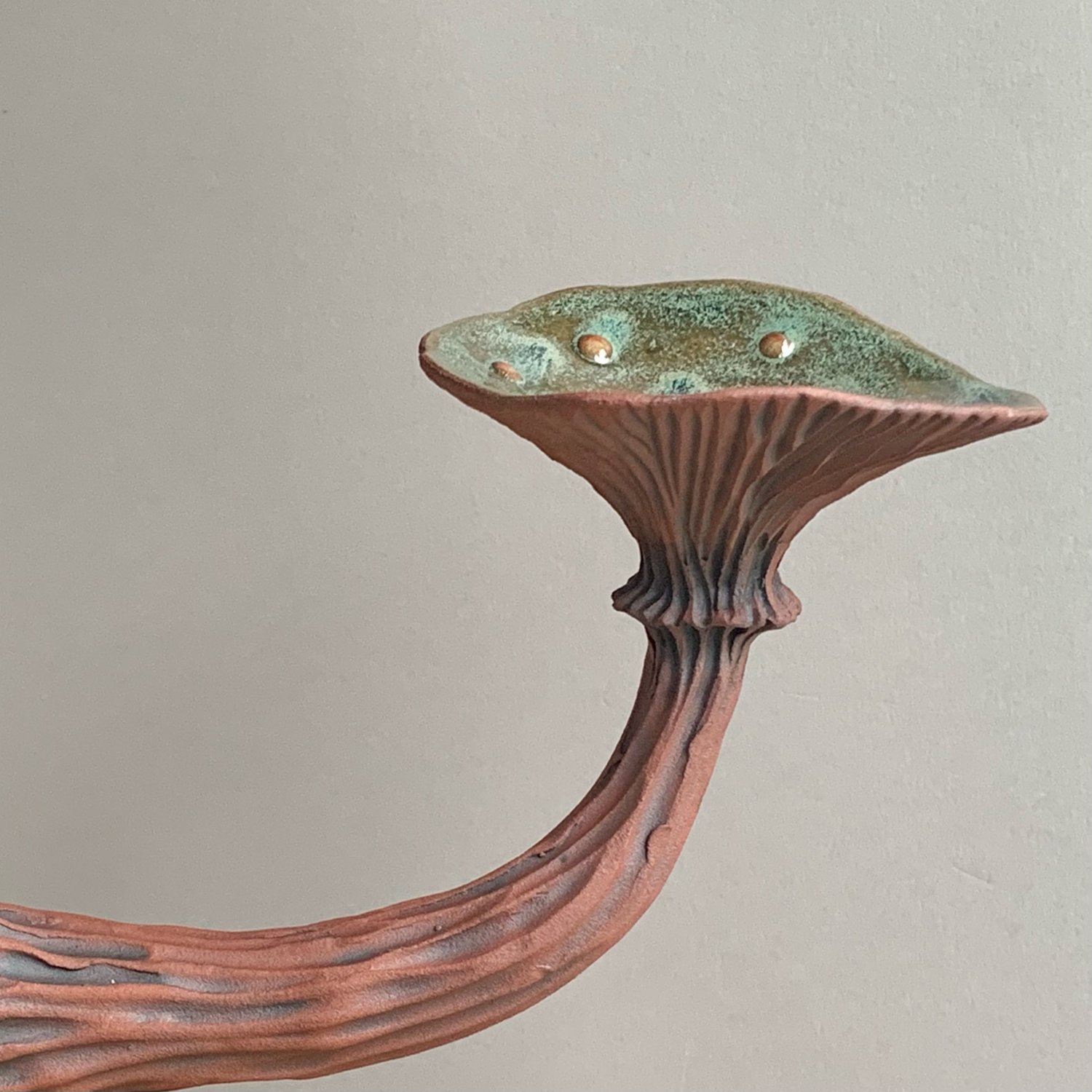 Image of Green Wall Mushroom 