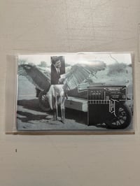 Image 11 of Hospital Productions Rarities & Special Editions Part Two