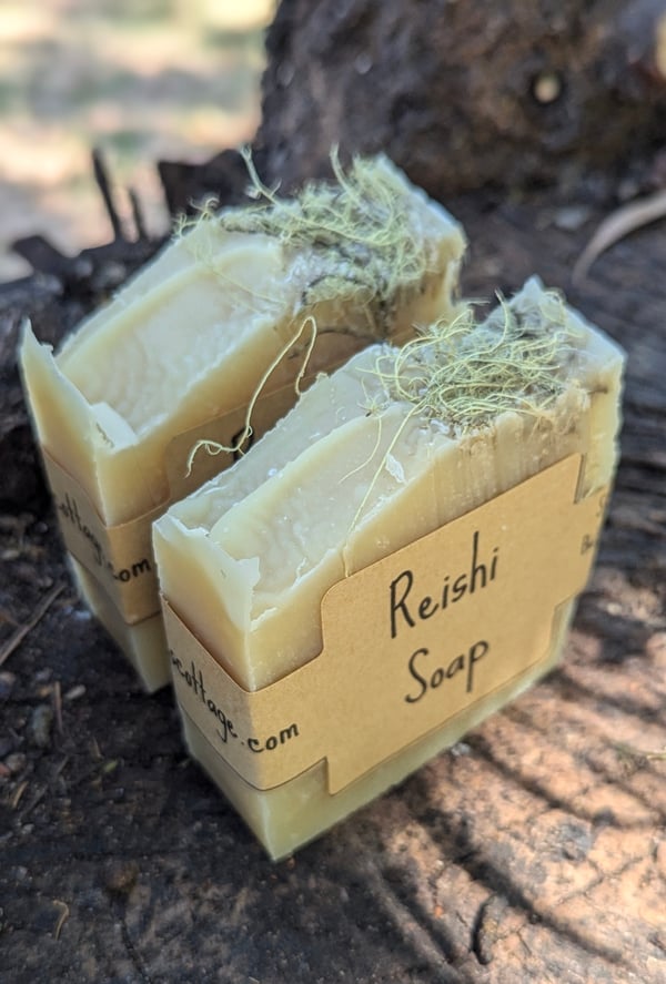 Image of Reishi Soap