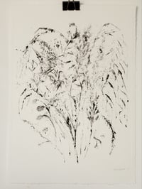 Experimental Grass Monoprint - A3 - Original Print 