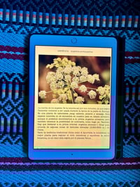 Image 3 of EBOOK PLANTAS DEL SAGRADO FEMENINO