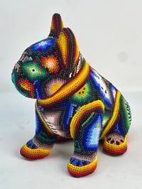 Image 3 of French Bulldog Puppy Vol 3 011