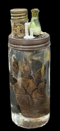 Image 2 of Raccoon Paw & Mini Curio
