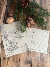 Spendenpostkarte Rotkehlchen 
