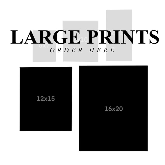 Large Giclée Prints // 12x15 or 16x20