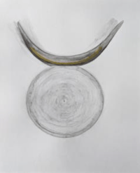 Valerie Piraino / "Born Under the Bull Moon"