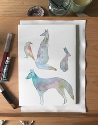 Image 1 of Animal Folklore
