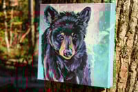 Image 3 of Baby Bear