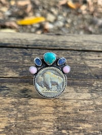 Image 1 of The Buffalo Trails