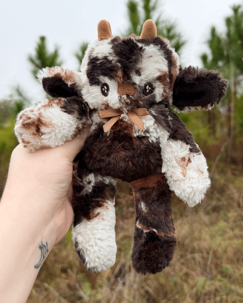 Image of Tiramisu Chocolate Moo Baby Noodle