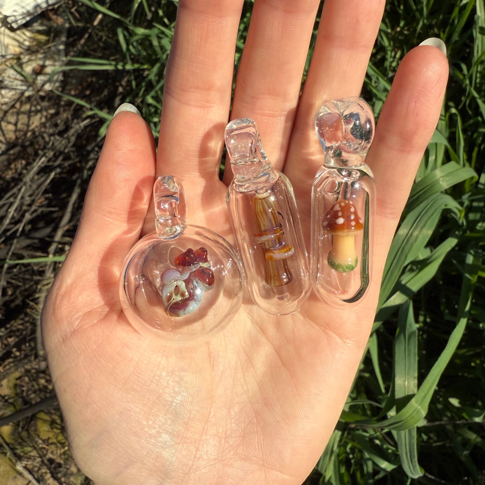 Image of Mushroom Micro Encapsulations