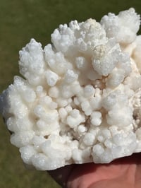 Image 5 of White Calcite Crystal Reef Formation Specimen #1237